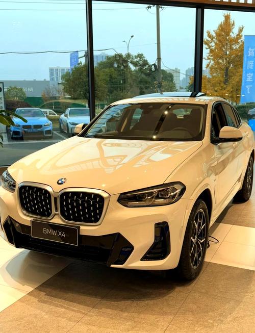 宝马x4越野车多少钱,宝马x4越野车多少钱一辆