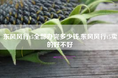 东风风行t5全部办完多少钱,东风风行t5卖的好不好