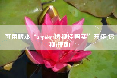 可用版本“agpoker透视挂购买	”开挂(透视)辅助
