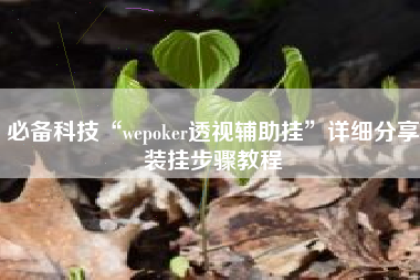 必备科技“wepoker透视辅助挂	”详细分享装挂步骤教程