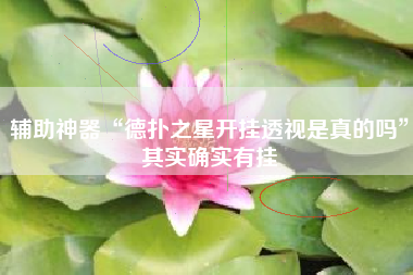 辅助神器“德扑之星开挂透视是真的吗”其实确实有挂