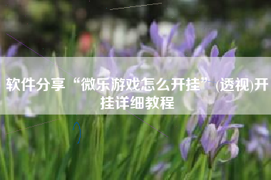 软件分享“微乐游戏怎么开挂	”(透视)开挂详细教程