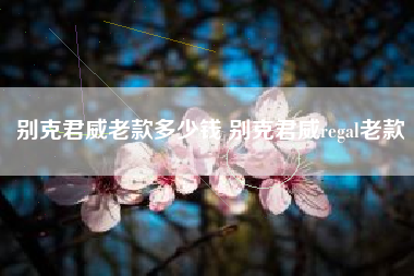 别克君威老款多少钱 别克君威regal老款