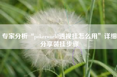 专家分析“pokerworld透视挂怎么用”详细分享装挂步骤