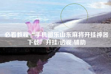 必看教程“手机微乐山东麻将开挂神器下载	”开挂(透视)辅助