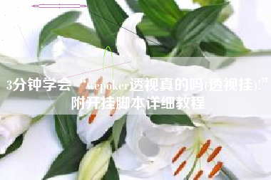 3分钟学会“wepoker透视真的吗(透视挂)!	”附开挂脚本详细教程