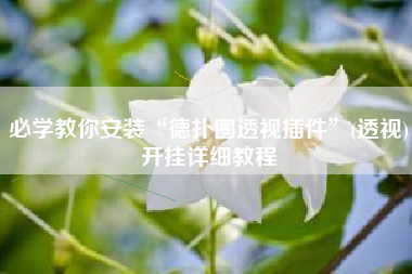 必学教你安装“德扑圈透视插件”(透视)开挂详细教程