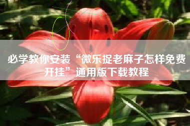 必学教你安装“微乐捉老麻子怎样免费开挂”通用版下载教程