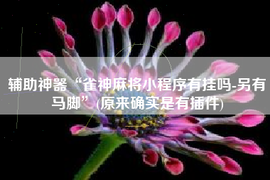 辅助神器“雀神麻将小程序有挂吗-另有马脚	”(原来确实是有插件)