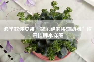必学教你安装“微乐跑的快辅助器”附开挂脚本详细