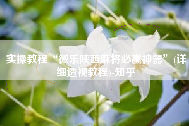 实操教程“微乐陕西麻将必赢神器	”(详细透视教程)-知乎