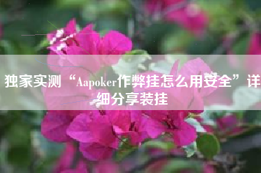 独家实测“Aapoker作弊挂怎么用安全”详细分享装挂