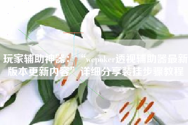 玩家辅助神器：“wepoker透视辅助器最新版本更新内容	”详细分享装挂步骤教程