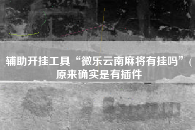 辅助开挂工具“微乐云南麻将有挂吗	”(原来确实是有插件
