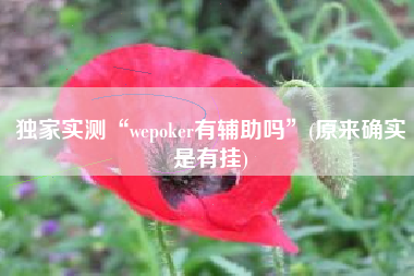 独家实测“wepoker有辅助吗	”(原来确实是有挂)