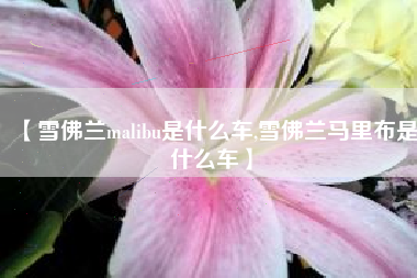 【雪佛兰malibu是什么车,雪佛兰马里布是什么车】