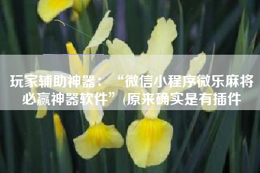 玩家辅助神器：“微信小程序微乐麻将必赢神器软件”(原来确实是有插件