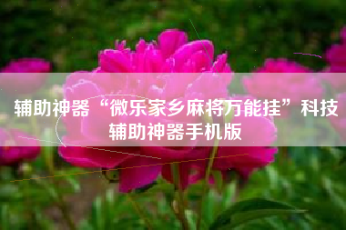辅助神器“微乐家乡麻将万能挂”科技辅助神器手机版