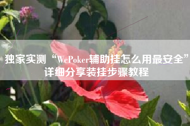 独家实测“WePoker辅助挂怎么用最安全”详细分享装挂步骤教程