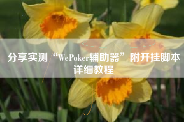 分享实测“WePoker辅助器	”附开挂脚本详细教程