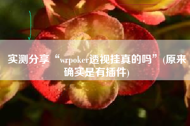 实测分享“wrpoker透视挂真的吗”(原来确实是有插件)
