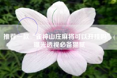 推荐一款“雀神山庄麻将可以开挂吗”(曝光透视必备猫腻