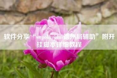 软件分享“wepokerplus德州局辅助	”附开挂脚本详细教程
