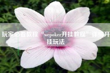 玩家必看教程“wepoker开挂教程”详细开挂玩法