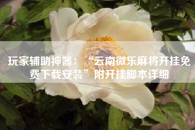 玩家辅助神器：“云南微乐麻将开挂免费下载安装”附开挂脚本详细