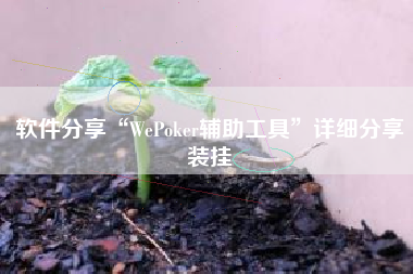 软件分享“WePoker辅助工具”详细分享装挂