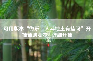 可用版本“微乐二人斗地主有挂吗”开挂辅助脚本+详细开挂