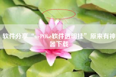 软件分享“wePOke软件透明挂”原来有神器下载