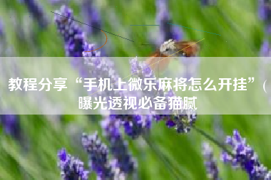 教程分享“手机上微乐麻将怎么开挂”(曝光透视必备猫腻