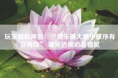 玩家辅助神器：“微乐锄大地小程序有没有挂”(曝光透视必备猫腻