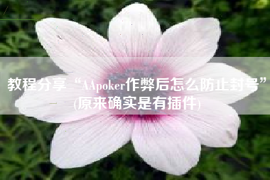 教程分享“AApoker作弊后怎么防止封号”(原来确实是有插件)