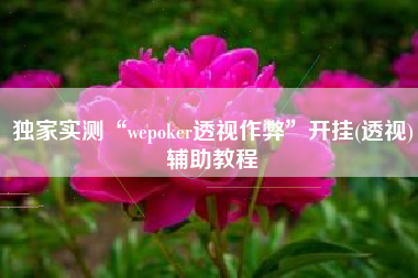 独家实测“wepoker透视作弊”开挂(透视)辅助教程