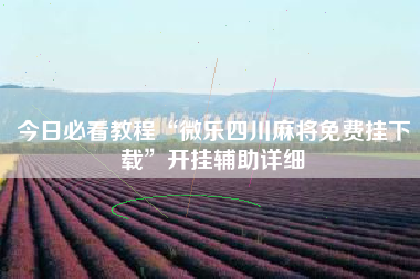 今日必看教程“微乐四川麻将免费挂下载”开挂辅助详细