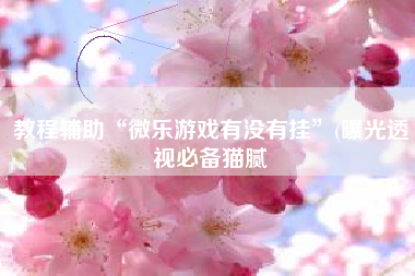 教程辅助“微乐游戏有没有挂”(曝光透视必备猫腻