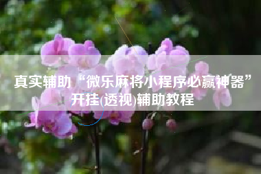 真实辅助“微乐麻将小程序必赢神器”开挂(透视)辅助教程