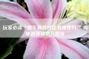 玩家必读“微乐麻将打法有规律吗?	”揭秘透视辅助万能挂