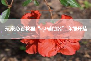 玩家必看教程“wpk辅助器”详细开挂