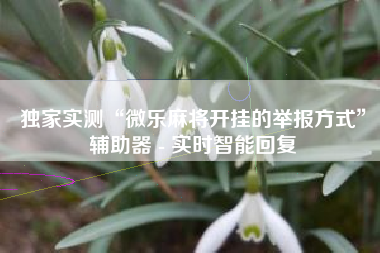 独家实测“微乐麻将开挂的举报方式”辅助器 - 实时智能回复