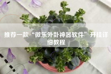 推荐一款“微乐外卦神器软件”开挂详细教程