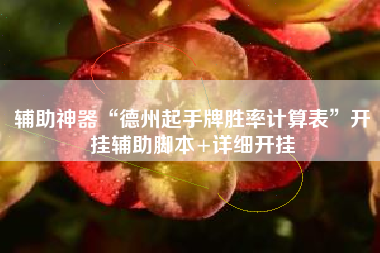 辅助神器“德州起手牌胜率计算表”开挂辅助脚本+详细开挂