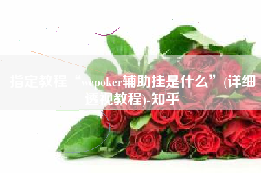 指定教程“wepoker辅助挂是什么”(详细透视教程)-知乎
