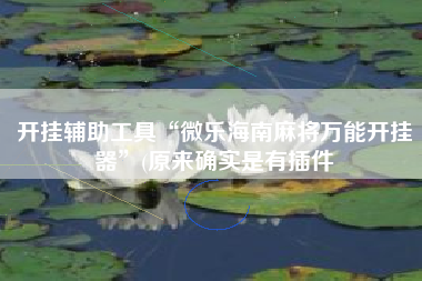 开挂辅助工具“微乐海南麻将万能开挂器	”(原来确实是有插件