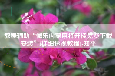 教程辅助“微乐内蒙麻将开挂免费下载安装”(详细透视教程)-知乎