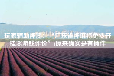 玩家辅助神器：“广东雀神麻将免费开挂器游戏评价	”(原来确实是有插件