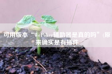 可用版本“WePoker辅助器是真的吗”(原来确实是有插件