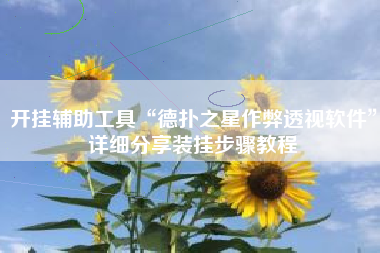 开挂辅助工具“德扑之星作弊透视软件	”详细分享装挂步骤教程